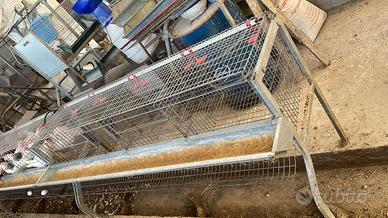 Gabbie galline ovaiole