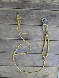 linea per sleddog