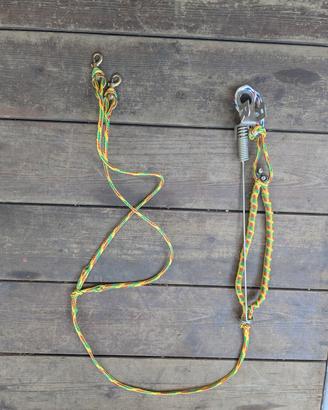 linea per sleddog