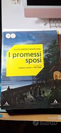 I PROMESSI SPOSI