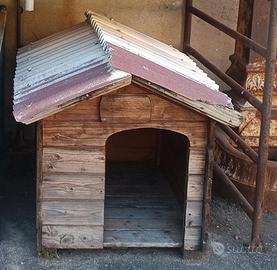 cuccia solida per cani da esterno