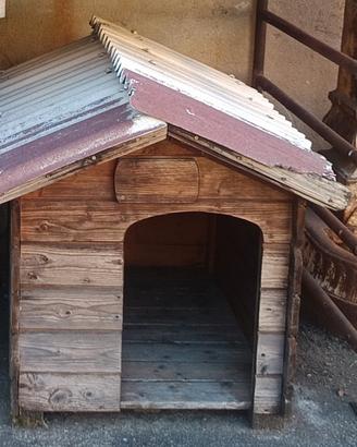 cuccia solida per cani da esterno