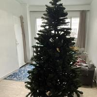 Albero di Natale Pino Barrington 210cm
