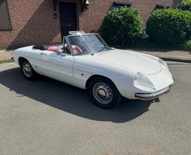 ALFA ROMEO "Duetto Spider 1750 Veloce"