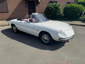 ALFA ROMEO "Duetto Spider 1750 Veloce"