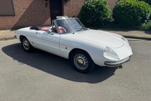ALFA ROMEO "Duetto Spider 1750 Veloce"
