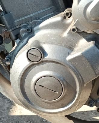 Yamaha Xt660X  Motore  M306E
