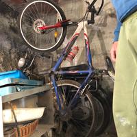 Bici + 2 caschi