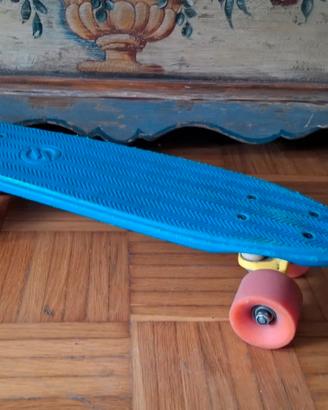 skateboard panny 