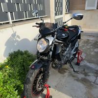 Suzuki SFV Gladius 650 - 2011