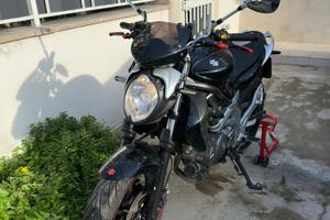 Suzuki SFV Gladius 650 - 2011