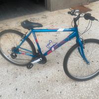 Bicicletta ragazzo
