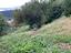 Immagine 25