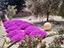 Immagine 27
