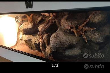 Teca deserticola 3D -80x40x40
