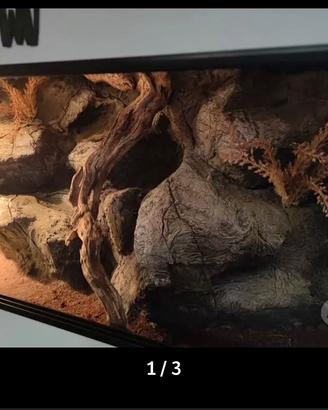 Teca deserticola 3D -80x40x40