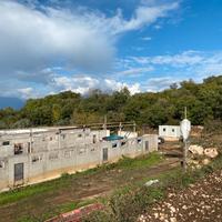 Azienda agricola Postiglione