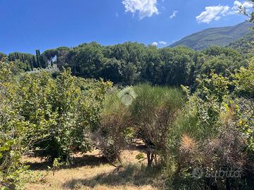 TER. AGRICOLO A SORIANO NEL CIMINO