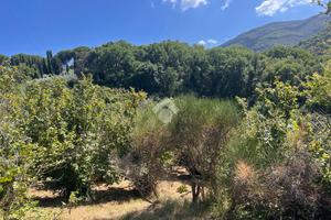 TER. AGRICOLO A SORIANO NEL CIMINO