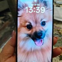 OPPO RENO 12 FS 5 G