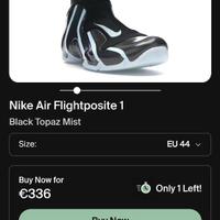 Air Flightposite Topaz Mist