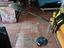Immagine 1