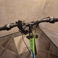 bici da uomo