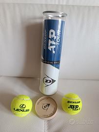 Palline tennis ATP 2025 - 2 palline Dunlop ATP 