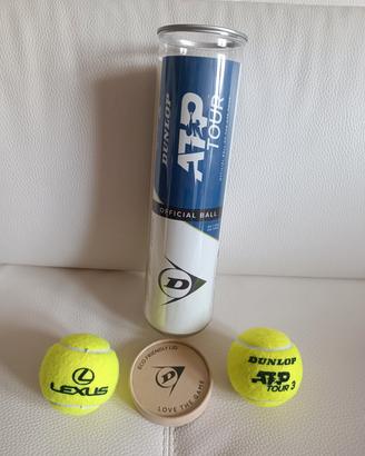 Palline tennis ATP 2025 - 2 palline Dunlop ATP 
