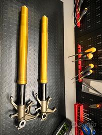 Steli forcelle anteriori Kawasaky