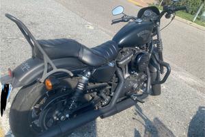 Harley Davidson 883 iron