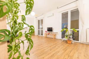Rif.1/2539| appartamento firenze