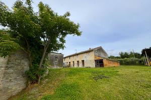Rudere con terreno - Torre San Patrizio