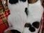 Immagine 1