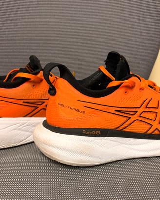 Asics nimbus 25