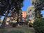 Immagine 15