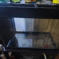 Acquario 80 litri