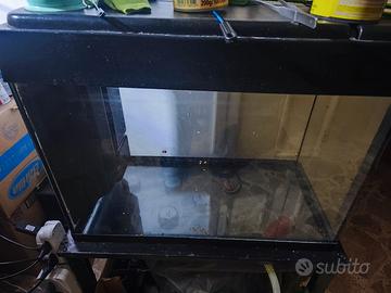Acquario 80 litri