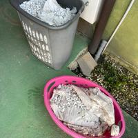 Pietre bianche da giardino