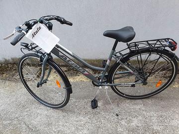 Bici Atala Boston
