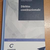 Diritto costituzionale Pisaneschi