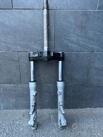 Forcella gp800
