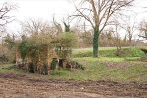 Rif.CS151|Casale Sarteano