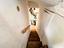 Immagine 29