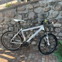 Olympia Tecno 74