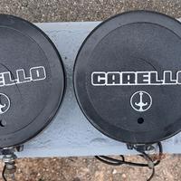 COPPIA DI  FENDINEBBIA CARELLO 448 USATI