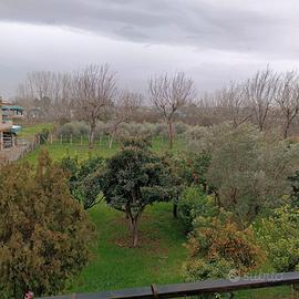 Appartamento + Magazzino + mansarda + giardino