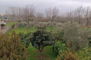 Appartamento + Magazzino + mansarda + giardino