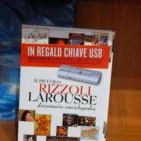 Dizionario enciclopedia Rizzoli-Larousse