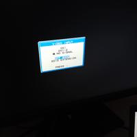 monitor 24 pollici NEC multiSync 